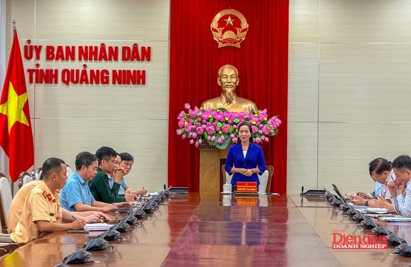 Mở tuyến liên vịnh, “đánh thức” tiềm năng sản phẩm du lịch xuyên di sản